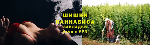 молекула духа Мегион