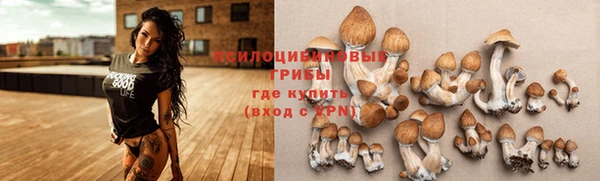 молекула духа Мегион