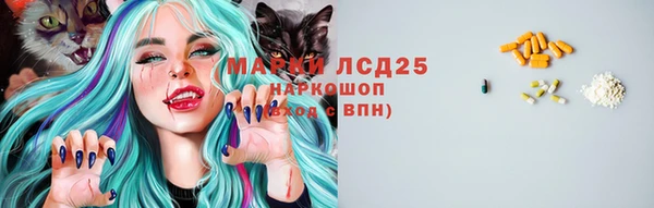 молекула духа Мегион