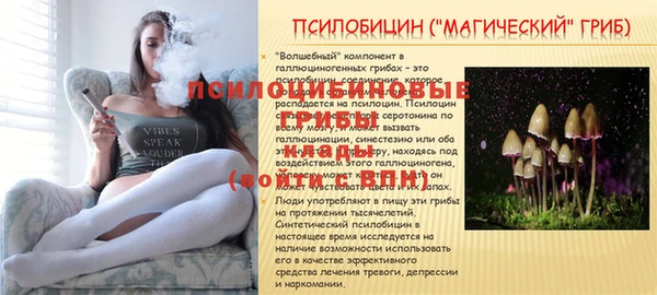 мет Сосновоборск