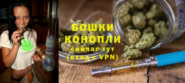 молекула духа Мегион