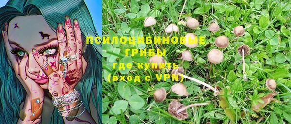 МДМА Медвежьегорск