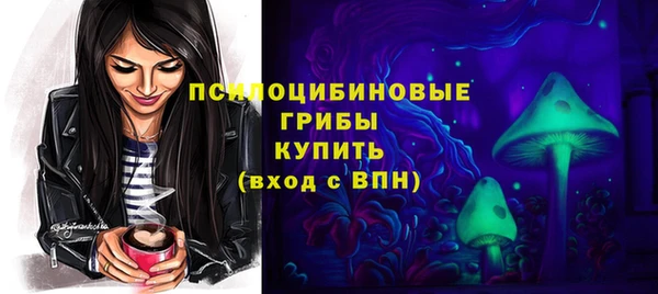 МДМА Медвежьегорск